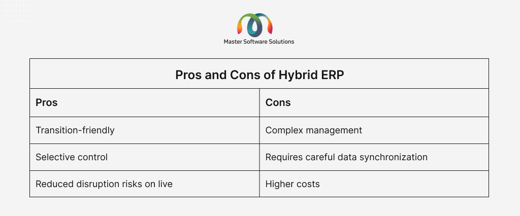 ravi garg, master-software-solutions, pros, cons, hybrid erp, transition friendly, selective control, complex management, data synchronization, hig costs
